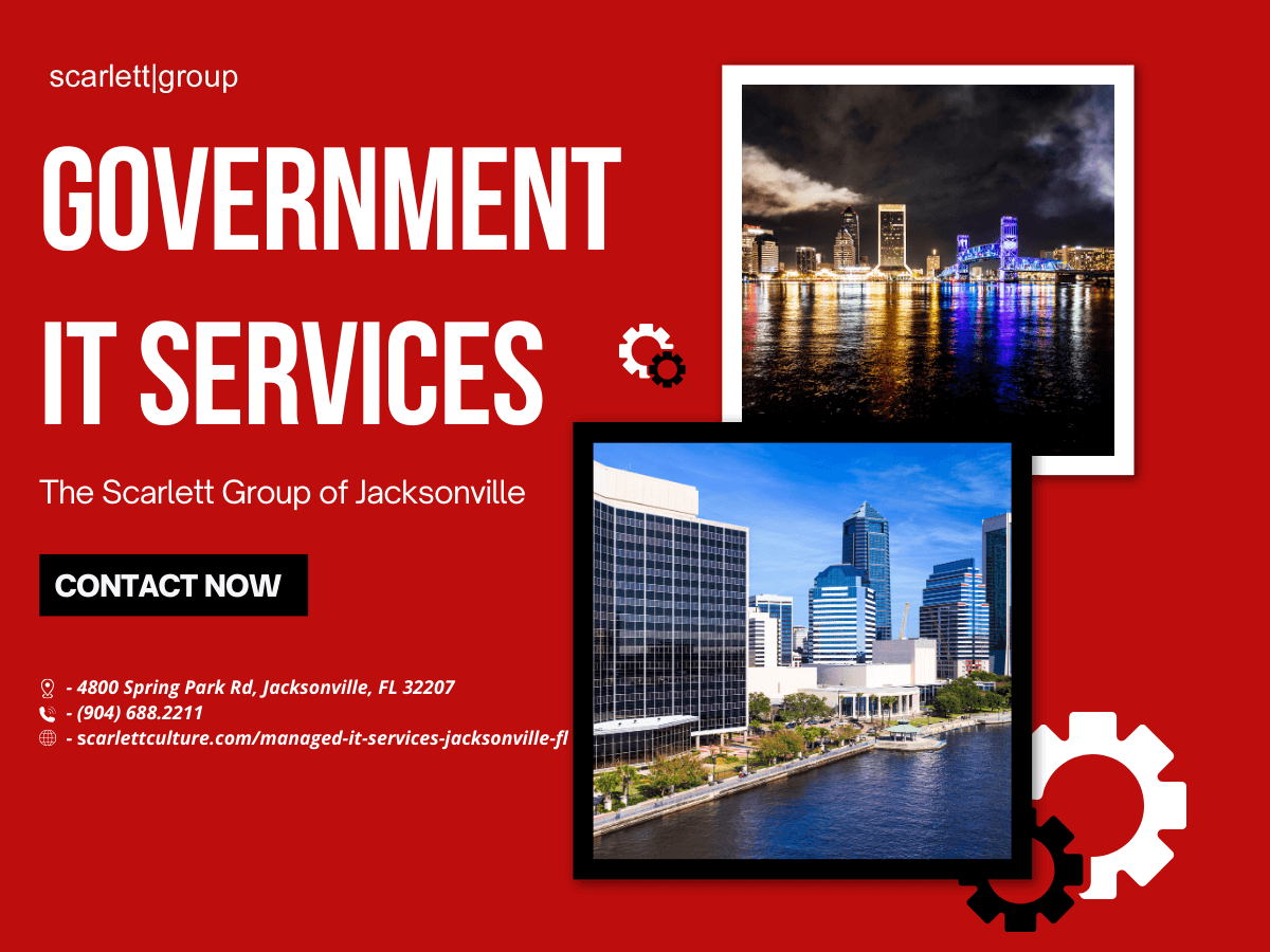 Government IT Services